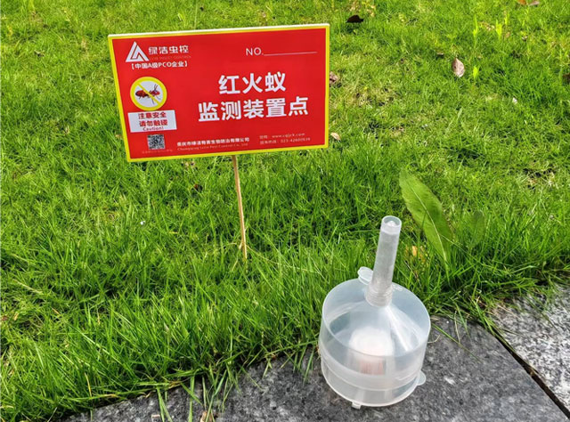 红火蚁专业防治